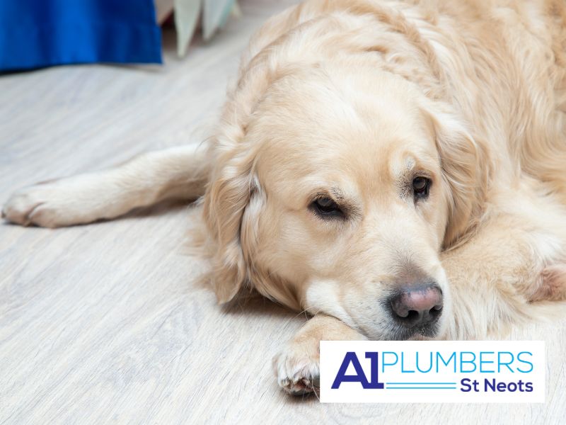 A1 Plumber St Neots warm floors